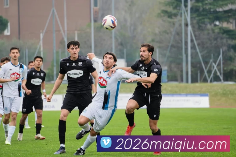 买球站APP 封面图